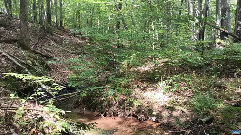 0 Piney Mountain Ln, Shipman, VA 22971 photo 33