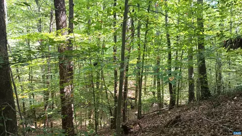 0 Piney Mountain Ln, Shipman, VA 22971 photo 26