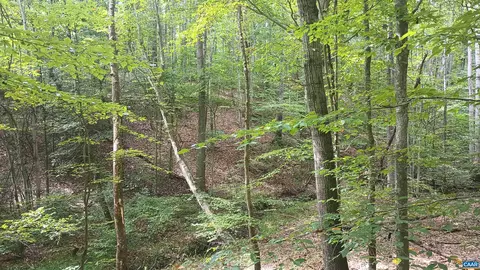 0 Piney Mountain Ln, Shipman, VA 22971 photo 30