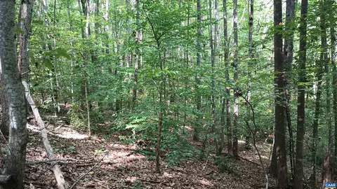 0 Piney Mountain Ln, Shipman, VA 22971 photo 25