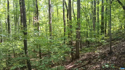 0 Piney Mountain Ln, Shipman, VA 22971 photo 12