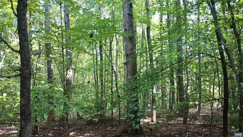 0 Piney Mountain Ln, Shipman, VA 22971 photo 8