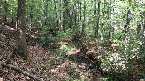 0 Piney Mountain Ln, Shipman, VA 22971 photo 32