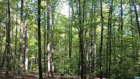 0 Piney Mountain Ln, Shipman, VA 22971 photo 9