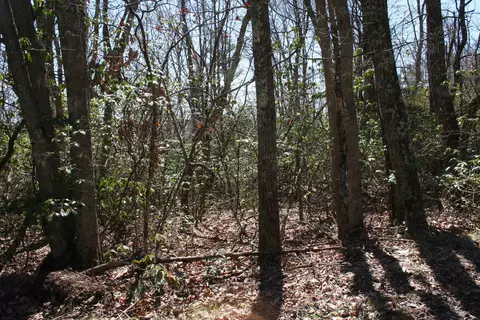 tbd Summit Dr N Summit Dr N, Monterey, VA 24465