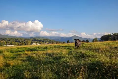 47 Acres N Lee Hwy N, Raphine, VA 24472