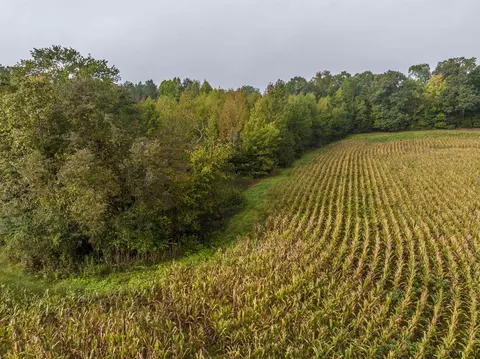tbd Courthouse Rd, Palmyra, VA 22963 photo 13