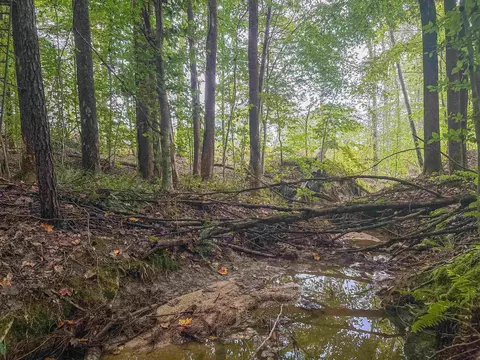 tbd Courthouse Rd, Palmyra, VA 22963 photo 28
