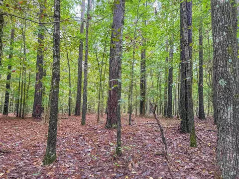tbd Courthouse Rd, Palmyra, VA 22963 photo 33