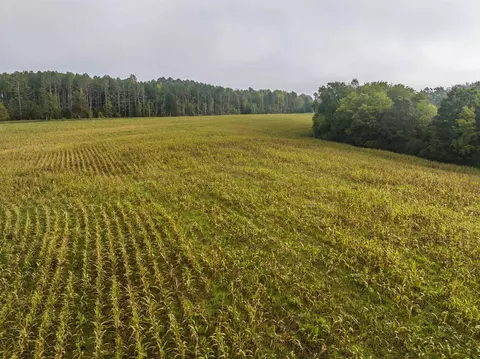 tbd Courthouse Rd, Palmyra, VA 22963 photo 11