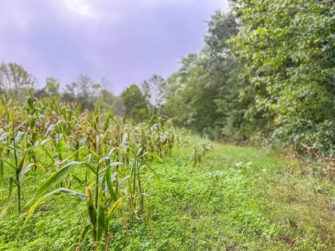 tbd Courthouse Rd, Palmyra, VA 22963 photo 34