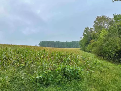 tbd Courthouse Rd, Palmyra, VA 22963 photo 36
