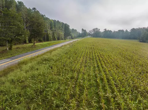 tbd Courthouse Rd, Palmyra, VA 22963 photo 10
