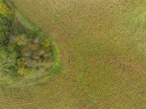 tbd Courthouse Rd, Palmyra, VA 22963 photo 16