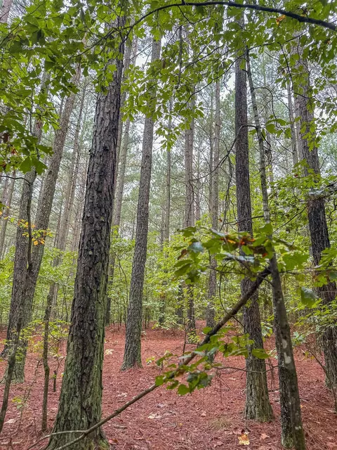 tbd Courthouse Rd, Palmyra, VA 22963 photo 32