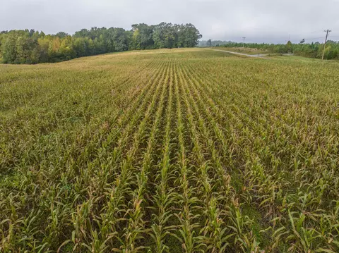 tbd Courthouse Rd, Palmyra, VA 22963 photo 7