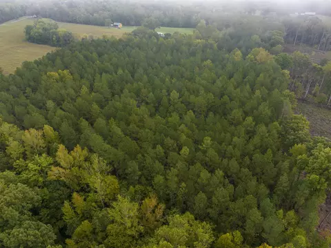 tbd Courthouse Rd, Palmyra, VA 22963 photo 22