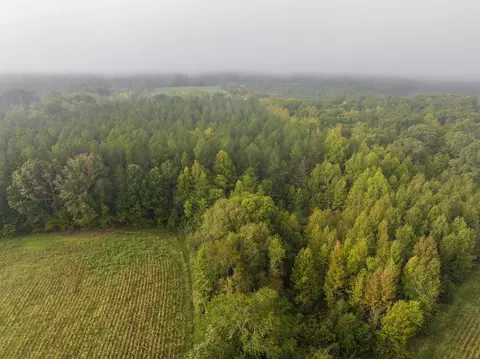 tbd Courthouse Rd, Palmyra, VA 22963 photo 14