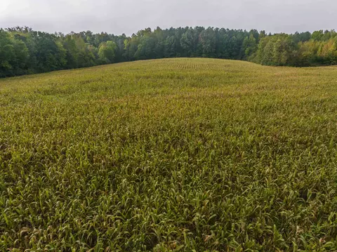 tbd Courthouse Rd, Palmyra, VA 22963 photo 8