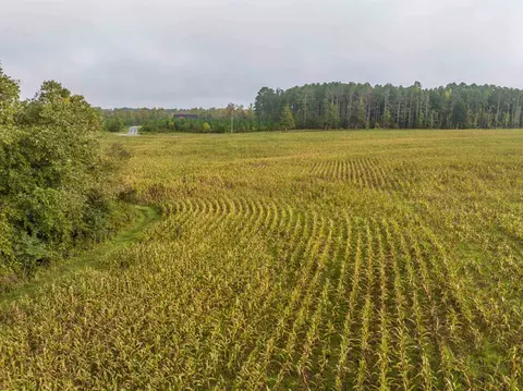 tbd Courthouse Rd, Palmyra, VA 22963 photo 12
