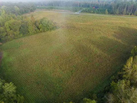 tbd Courthouse Rd, Palmyra, VA 22963 photo 4