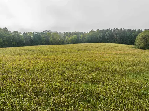 tbd Courthouse Rd, Palmyra, VA 22963 photo 9