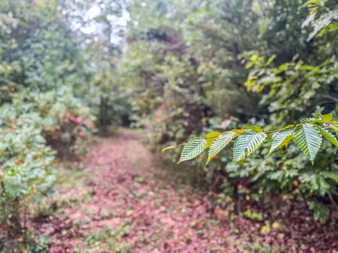 tbd Carysbrook Rd, Palmyra, VA 22963 photo 24