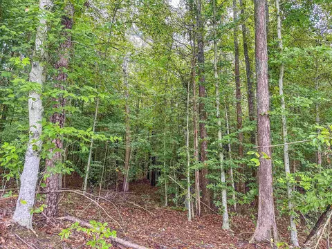 tbd Carysbrook Rd, Palmyra, VA 22963 photo 33
