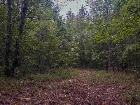 tbd Carysbrook Rd, Palmyra, VA 22963 photo 25