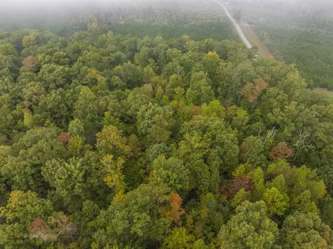 tbd Carysbrook Rd, Palmyra, VA 22963 photo 21