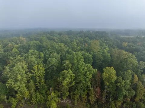 tbd Carysbrook Rd, Palmyra, VA 22963 photo 7