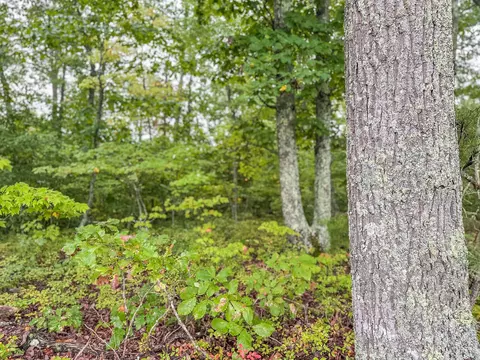 tbd Carysbrook Rd, Palmyra, VA 22963 photo 28
