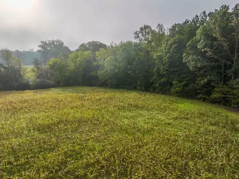 tbd Carysbrook Rd, Palmyra, VA 22963 photo 9