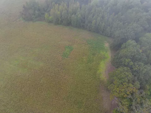 tbd Carysbrook Rd, Palmyra, VA 22963 photo 18