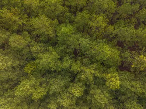 tbd Carysbrook Rd, Palmyra, VA 22963 photo 8
