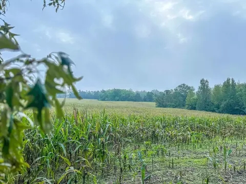 tbd Carysbrook Rd, Palmyra, VA 22963 photo 36
