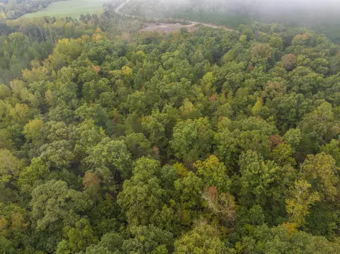 tbd Carysbrook Rd, Palmyra, VA 22963 photo 20