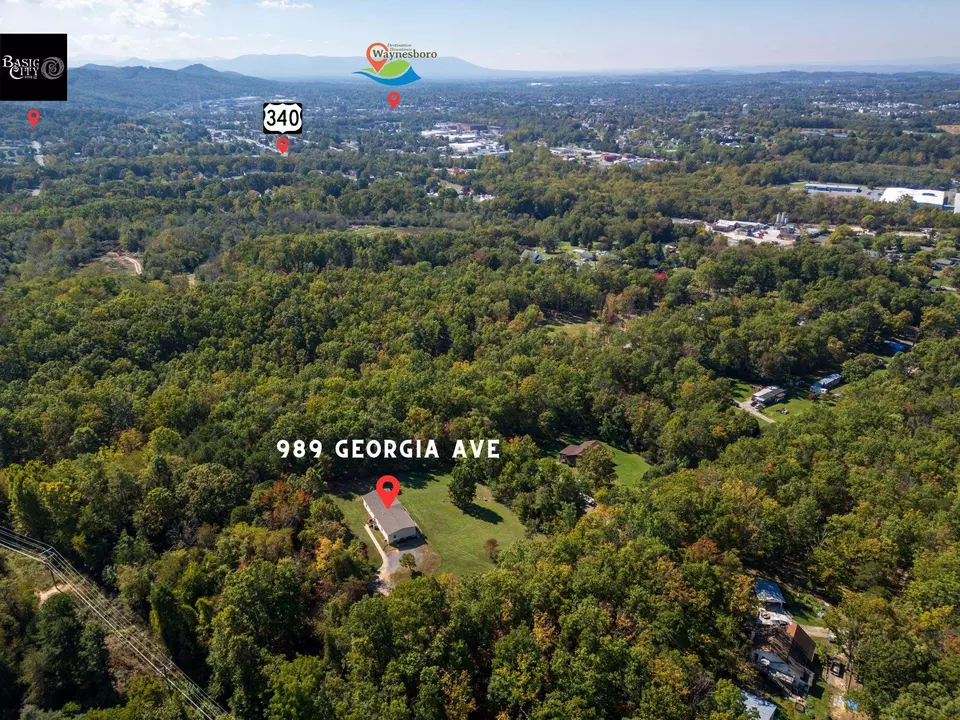  989 Georgia Ave, Waynesboro, VA 22980 photo 50