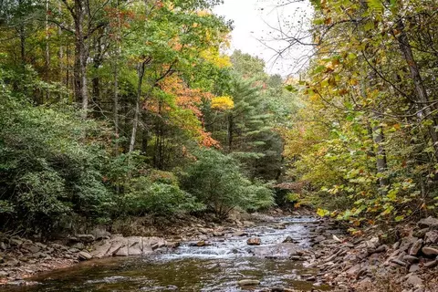 tbd Briery Branch Rd #144A, Dayton, VA 22821