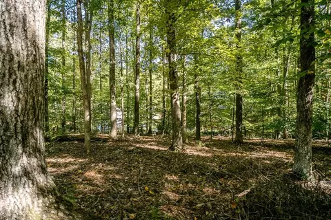 9 Axle Tree Rd, Palmyra, VA 22963 photo 33