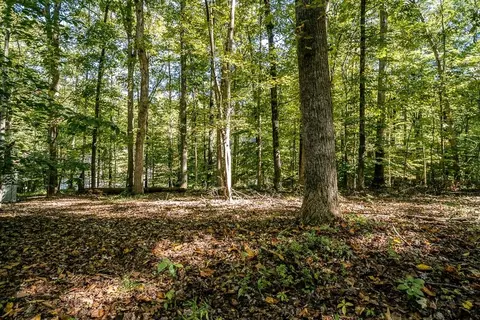 9 Axle Tree Rd, Palmyra, VA 22963 photo 32