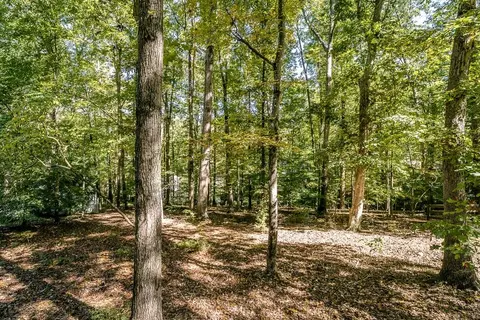 9 Axle Tree Rd, Palmyra, VA 22963 photo 31