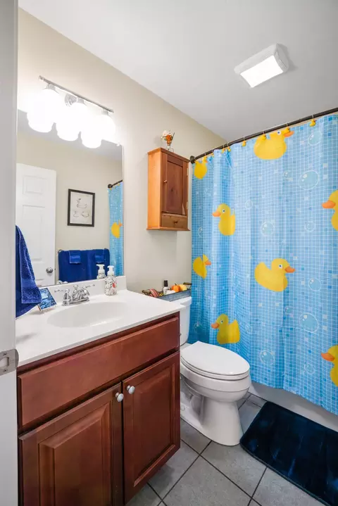 450 Coyote Run, Broadway, VA 22815 photo 32