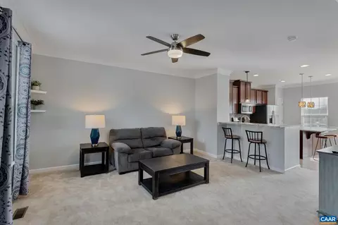 2017 Elm Tree Ct, Charlottesville, VA 22911 photo 11