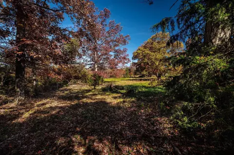 1798 Loop Rd, Elkton, VA 22827 photo 60