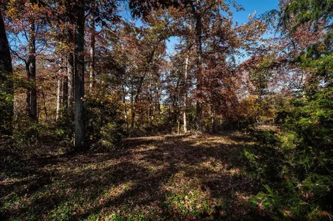 1798 Loop Rd, Elkton, VA 22827 photo 69