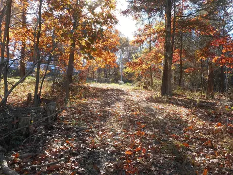 140 Cobblestone Ln, Shenandoah, VA 22849 photo 6