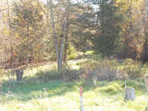140 Cobblestone Ln, Shenandoah, VA 22849