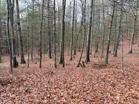 1358 Cowpasture River Rd S, Head Waters, VA 24442