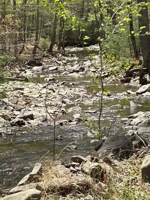 lot Apt 16 Bolshers Run, Millboro, VA 24460